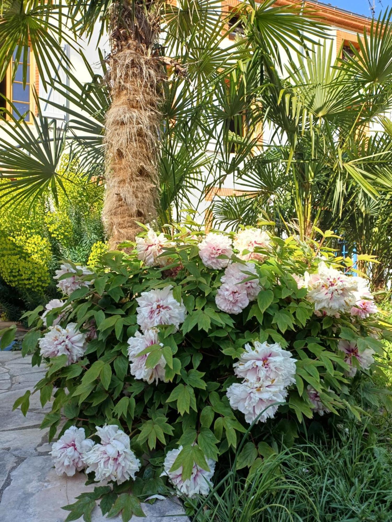 Le Relais De Lezat Hotell Exteriör bild